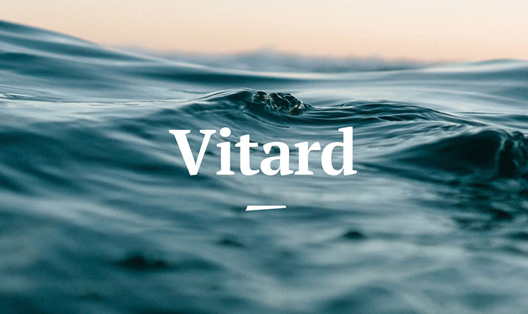Vitard - art direction, concept, logo design, webdesign